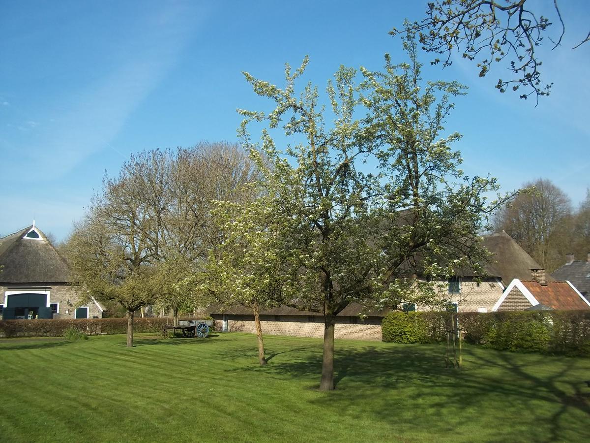 B&B Slaoperij Orvelte Exterior photo